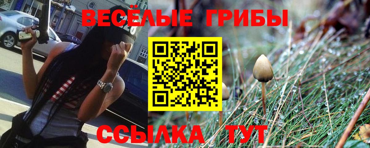 Ессентуки  Псилоцибиновые грибы Magic Shrooms  Вход с VPN 