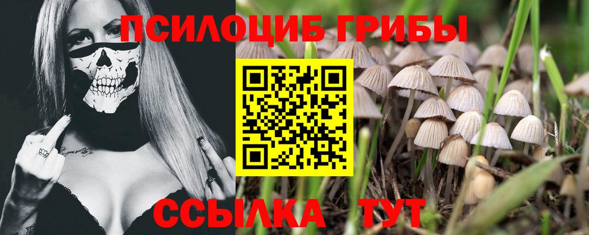 Псилоцибиновые грибы GOLDEN TEACHER Ессентуки